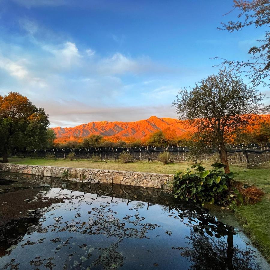 Araoz De Lamadrid Hotel&Bodega San Javier  Exteriér fotografie